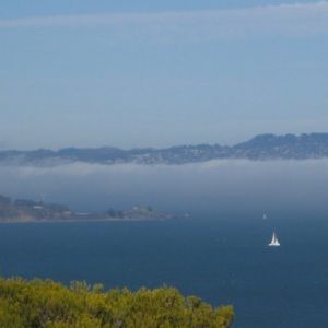 Meet your Posher, Margie